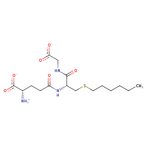 17gs_1 Structure