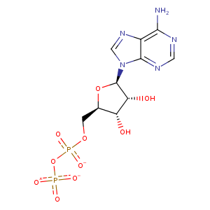 1a26_1 Structure