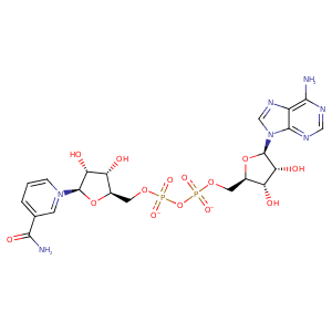 1a4z_4 Structure