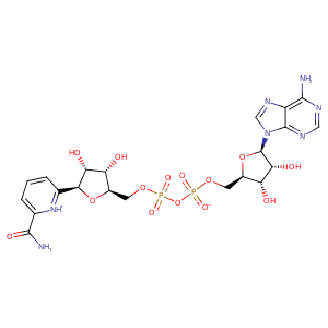 1a72_1 Structure