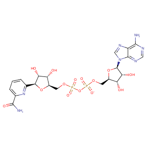 1adc_1 Structure