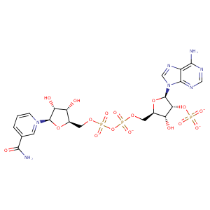 1ads_1 Structure