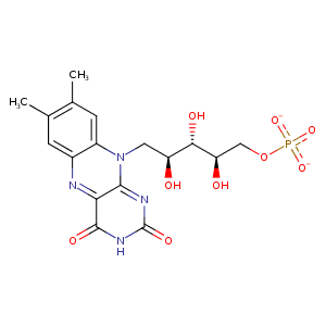 1ahn_1 Structure