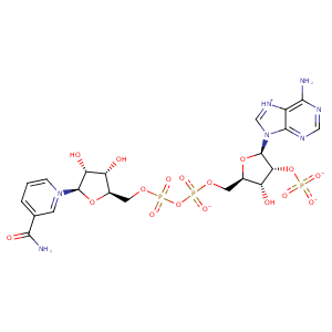 1ai9_2 Structure