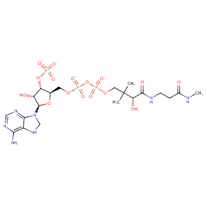 1aj8_1 Structure