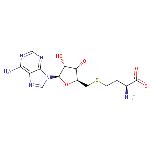 1aqi_1 Structure