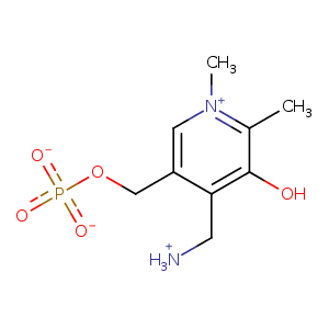 1asc_1 Structure