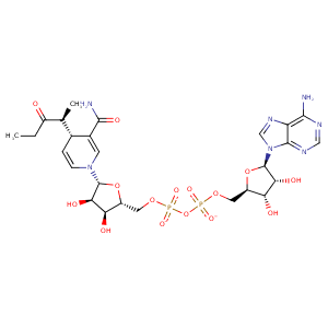 1b16_2 Structure