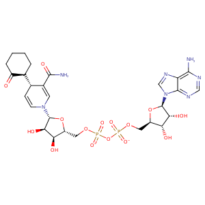 1b2l_1 Structure