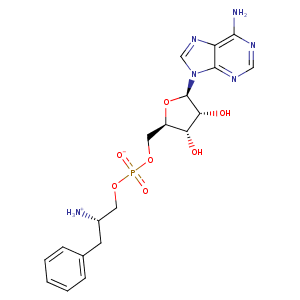 1b7y_1 Structure