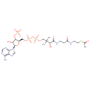 1b87_1 Structure