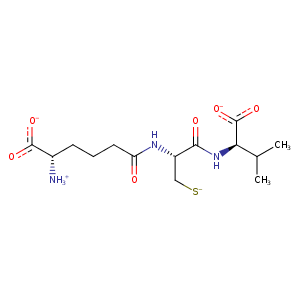 1bk0_1 Structure