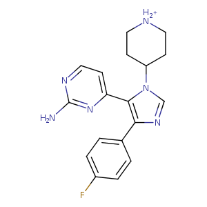 1bl7_1 Structure