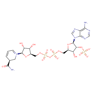 1bsv_1 Structure