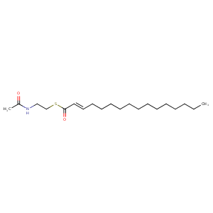 1bvr_2 Structure