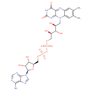 1cc2_1 Structure