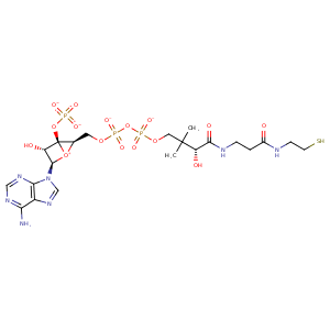 1chw_2 Structure