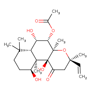 1cjk_1 Structure