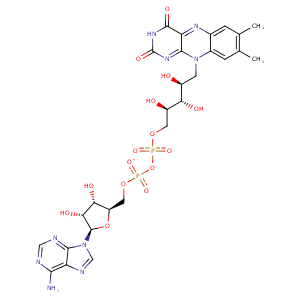 1cl0_1 Structure