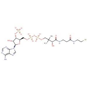 1cm0_1 Structure