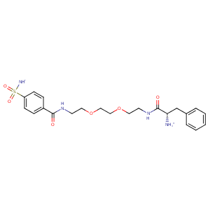 1cny_1 Structure