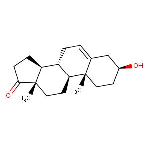 1coy_1 Structure