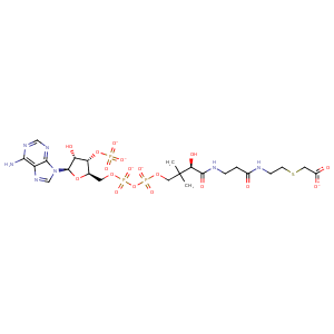 1csc_1 Structure