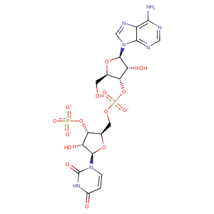 1ddt_1 Structure