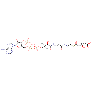 1dq9_4 Structure