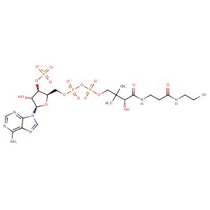 1dqa_3 Structure