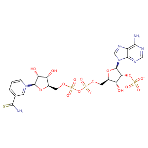 1dr2_1 Structure