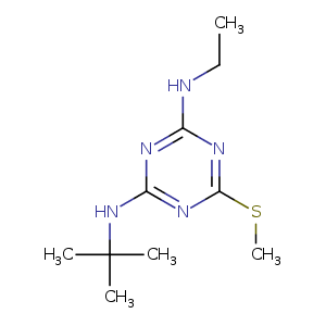 1dxr_1 Structure