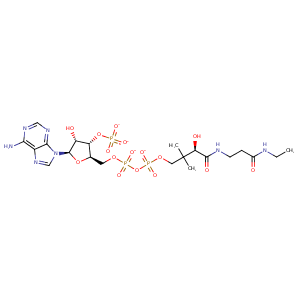 1e1c_1 Structure