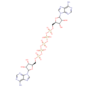 1e4v_1 Structure