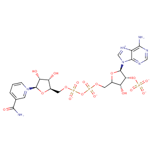 1e7q_2 Structure