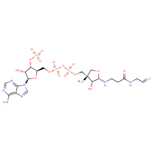 1ebl_1 Structure