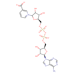 1ee1_1 Structure