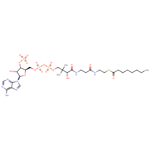 1egc_3 Structure