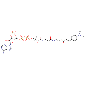 1ey3_2 Structure