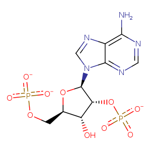 1fnd_1 Structure