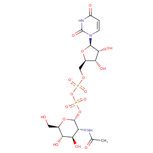 1foa_1 Structure