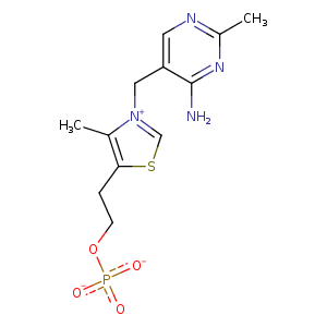 1g4s_2 Structure