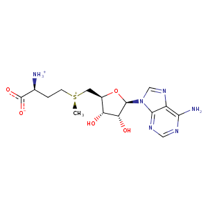 1g60_1 Structure