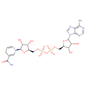 1giq_2 Structure