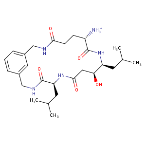 1gvv_1 Structure