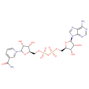 1gzf_2 Structure