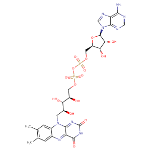 1h42_1 Structure