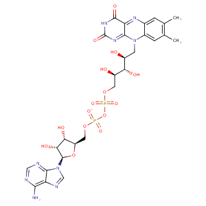 1h6v_1 Structure