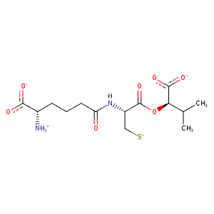 1hb1_1 Structure