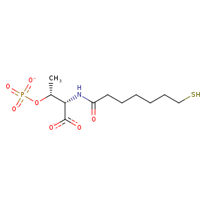 1hbn_3 Structure